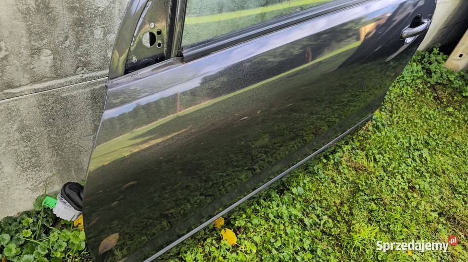 Drzwi lewe lak ZMA Suzuki Grand Vitara 2 Świdnica