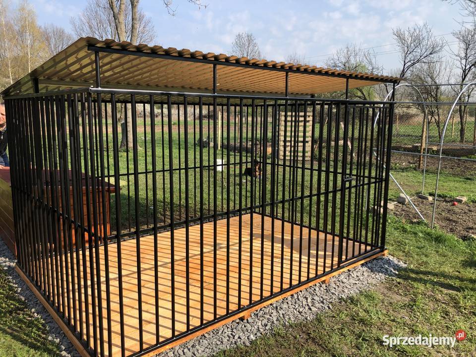 A1 Kojec Psa Dla psów kujawsko-pomorskie Rypin