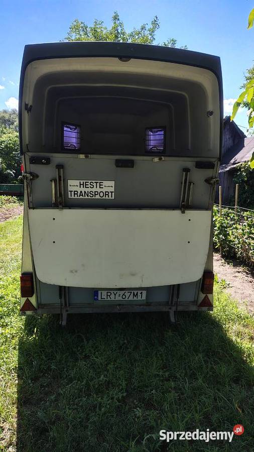 Przyczepa a konie brendenrup Ostrów Lubelski