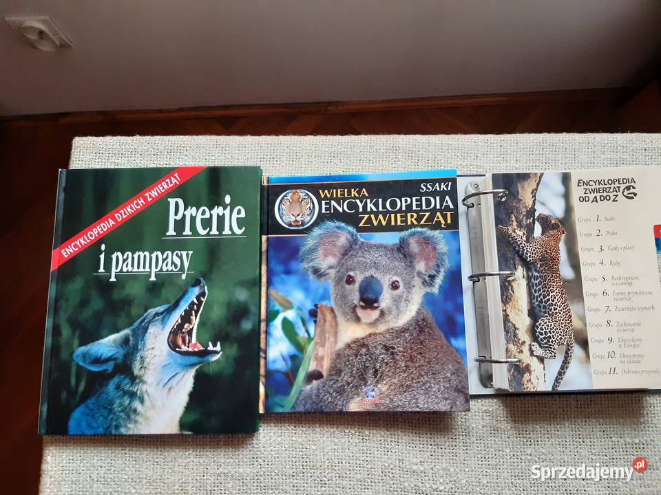 Plus Segregator z kartami zwierząt 2 Albumy