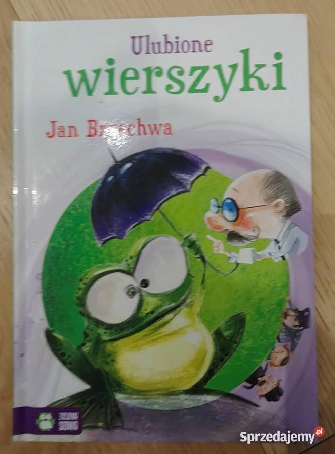 Mega paka książek dzieci x 18 Toruń