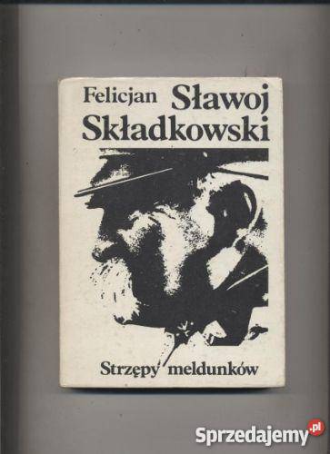 Strzępy meldunków