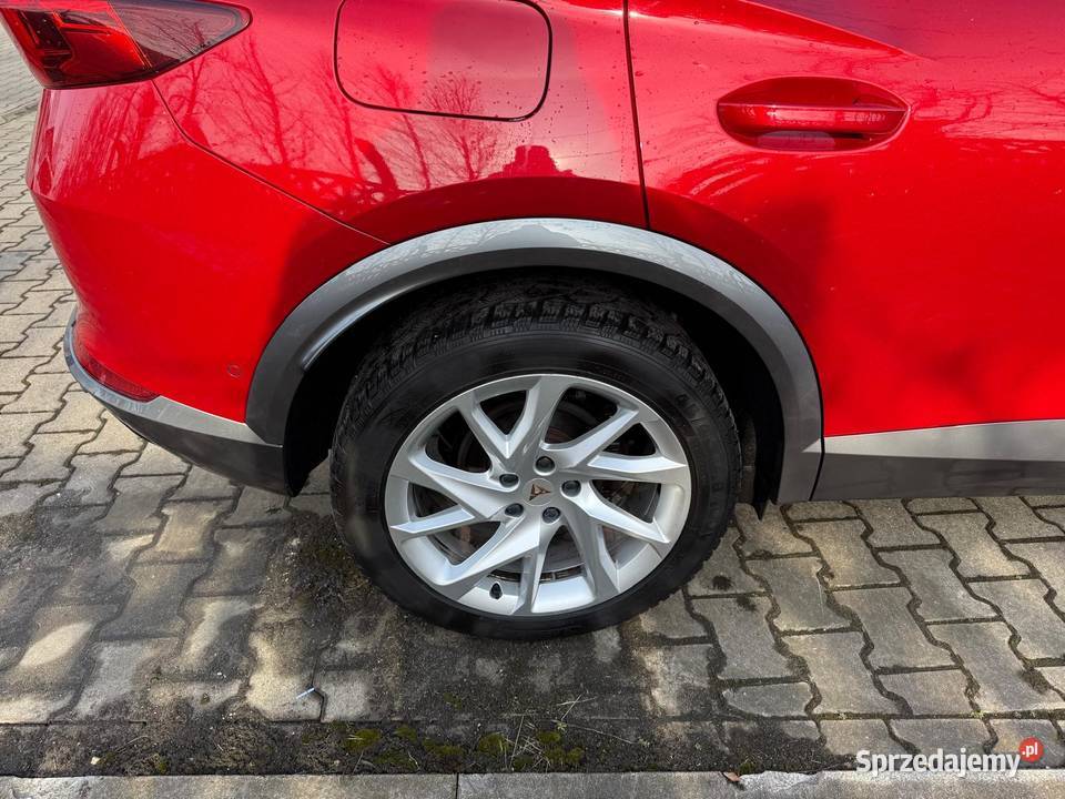 Cupra Salon Polska Bezwypadkowy I wł FV 23