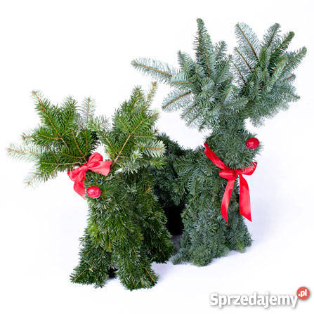 Choinki Świerk JodłaOzdobychoinki ręcznie Siedlce