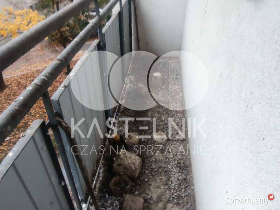 Sprzątanie gołębiach Kutno Kastelnik mycie