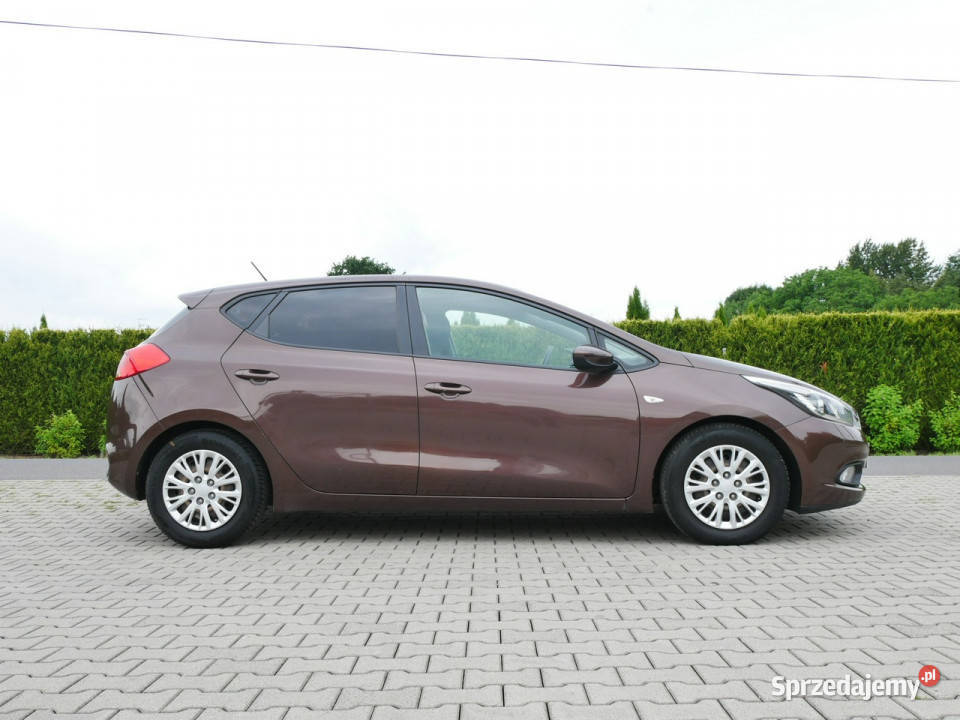 Kia Ceed 14 DOHC 100 Eu5 1 Właściciel 9 lat Kia Goczałkowice-Zdrój