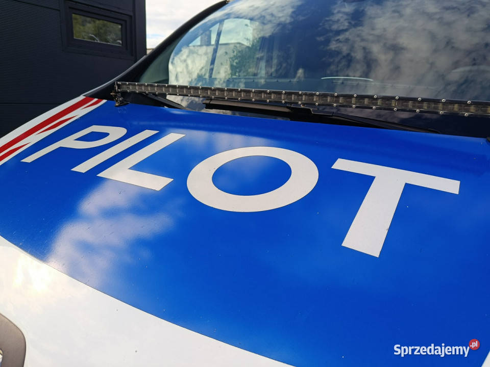 Renault Trafic 2021 PILOT łóżko webasto klima Chełm Śląski