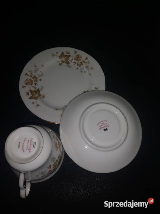 Filiżanka z talerzykiem Cocclough Jesienne Porcelana i szkło Gdańsk