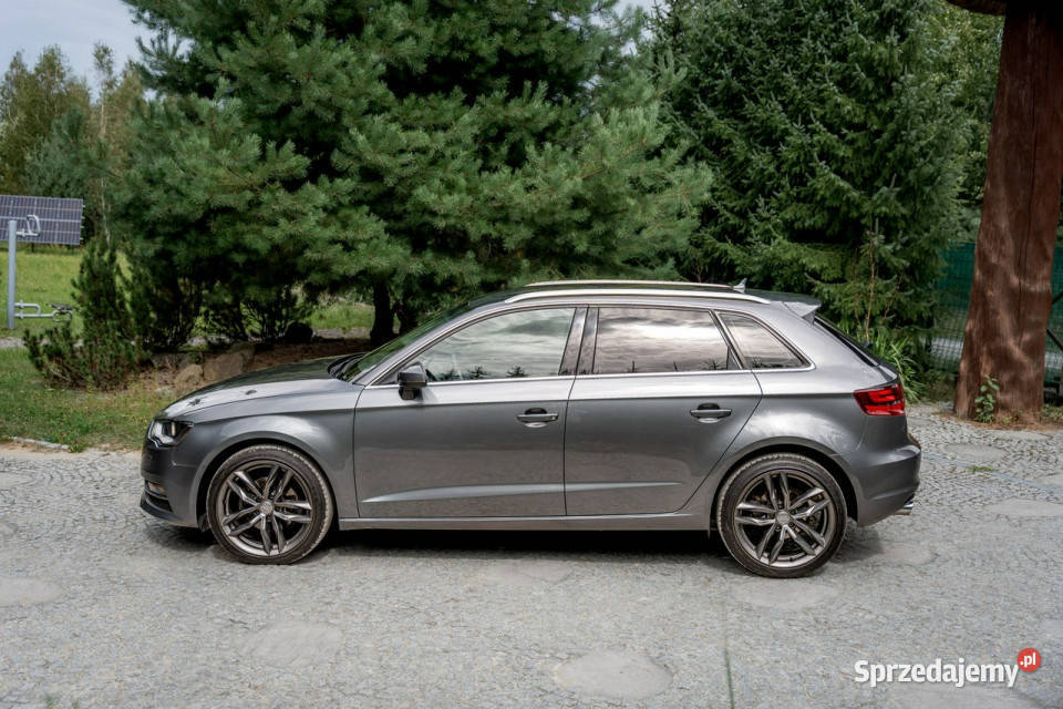 Audi A3 8V 20 TDI 150 Hatchback Quattro Ropczyce