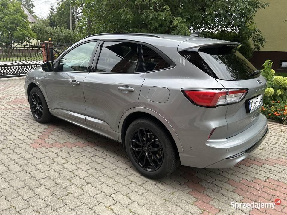 Ford kuga 25 hybryda Plugin Stline 2023 Gorzyce