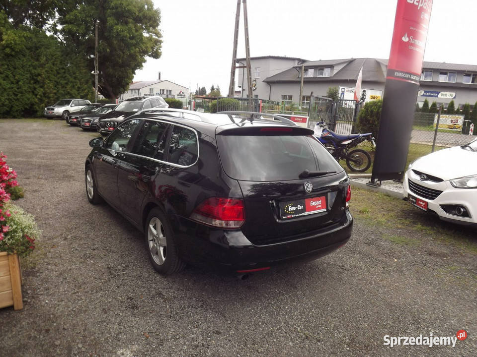 Volkswagen Golf Możliwość zamiany VI 20082012 1598cm3 Volkswagen