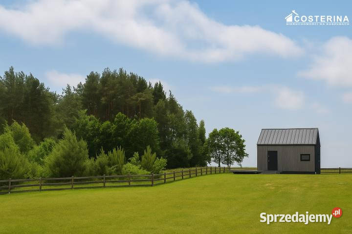 sprzedaży domu wolnostojącego 35m Borzestowska pomorskie Borzestowska Huta sprzedam