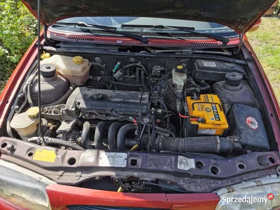 Zgrabny Fordzik kobiety Rejowiec