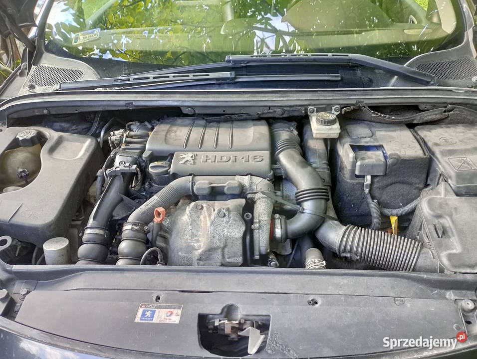Tanio Peugeot 307 16 HDI 273000km Świętajno