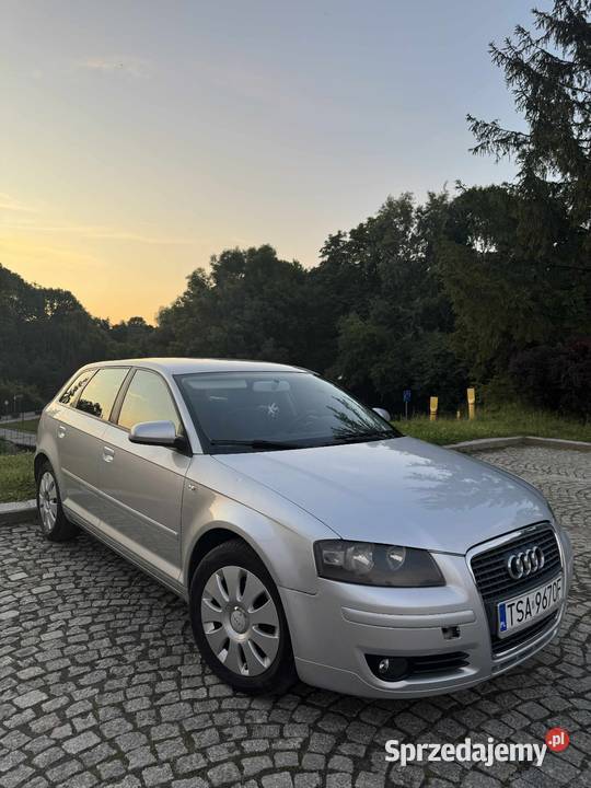 Sprzedam Audi a3 8P A3 Tarnobrzeg