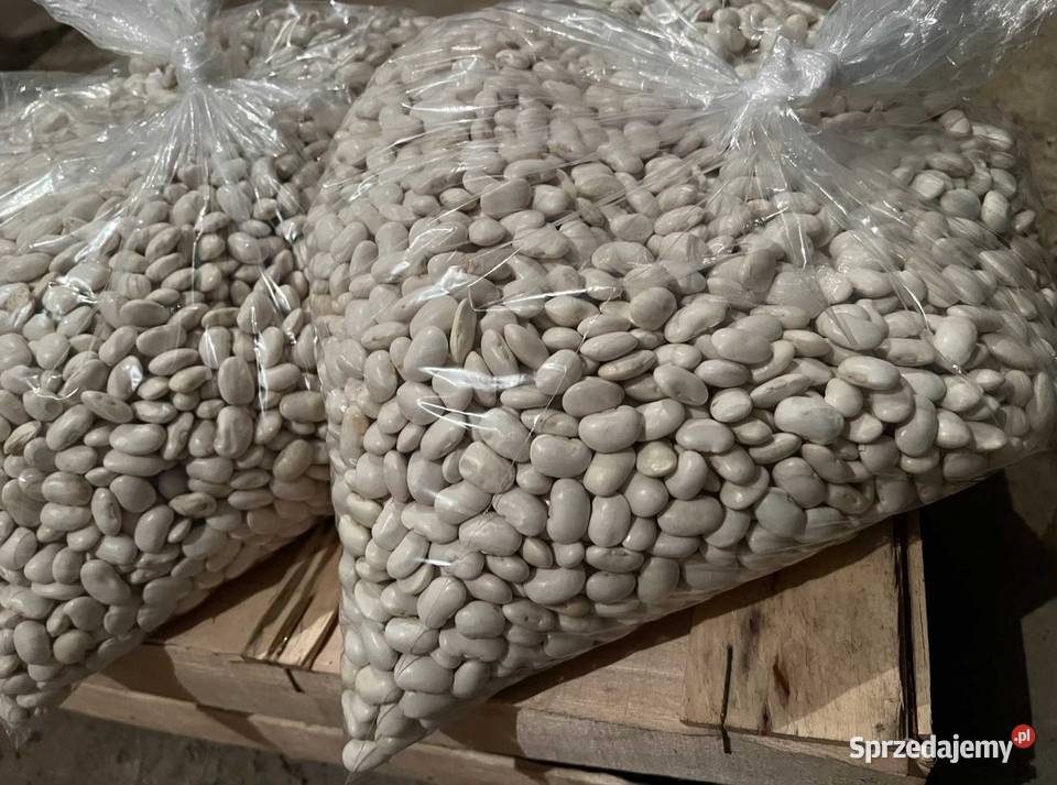 Fasola Jaś Karłowy 25 Zamość