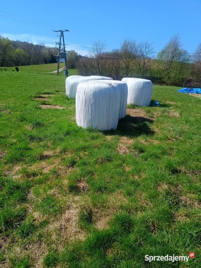 sianokiszonka Karmy i pasze Gorlice