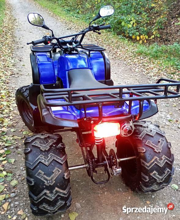 Quad 250 4 WSTECZNY Pozostałe Jasło