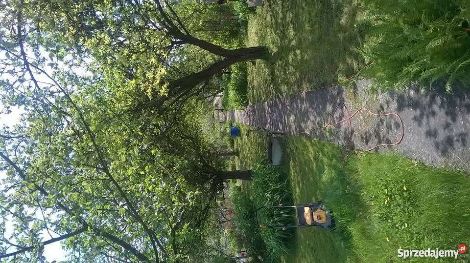 Działka rekreacyjna ROD Przybyszewskiego 460m2 Toruń