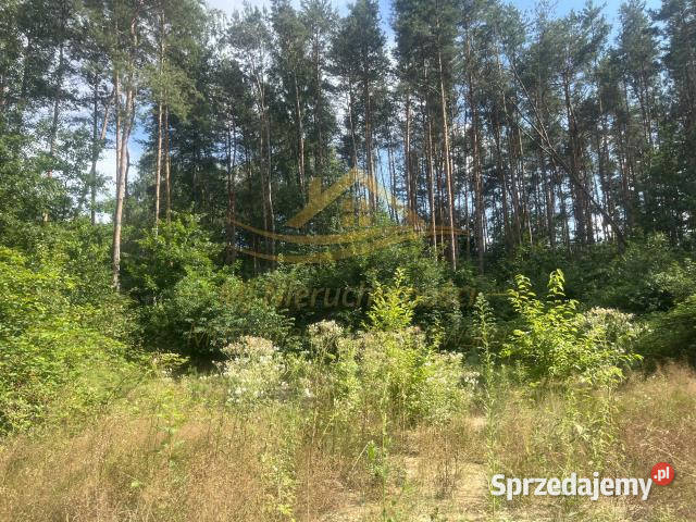 sprzedaży gruntu 1900m2 Makówka szambo Sprzedaż Grodzisk Mazowiecki