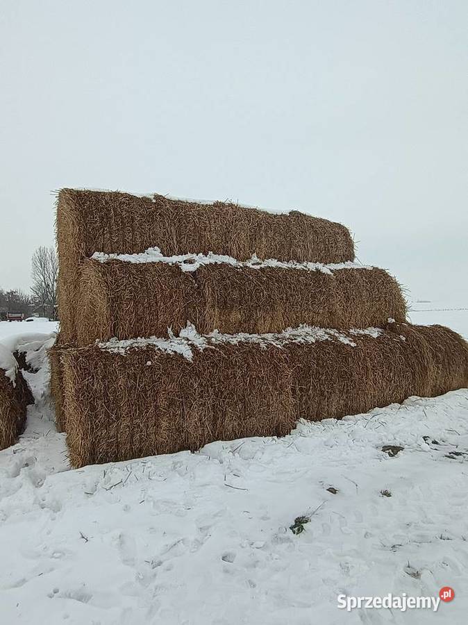 Słoma lubelskie Turobin