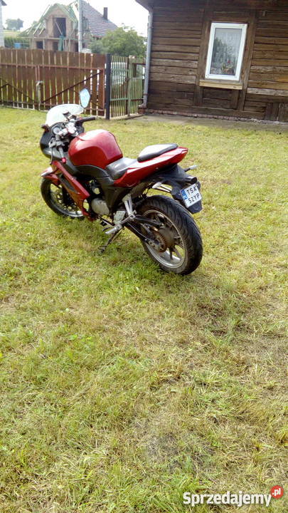 Leone rk 12550 Święcica