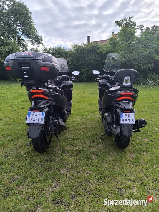 FORZA125 2019 23000 przebieg wielkopolskie Kalisz