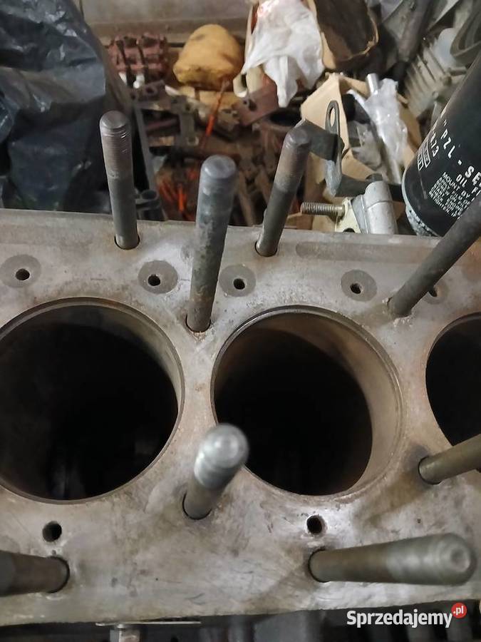 silnik 4c90 żuklublin Petrykozy