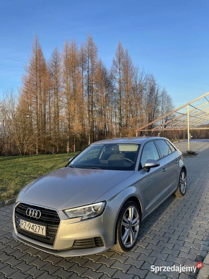 Audi A3, 8V, Led ambiente, nowy silnik, diesel, aso serwis.