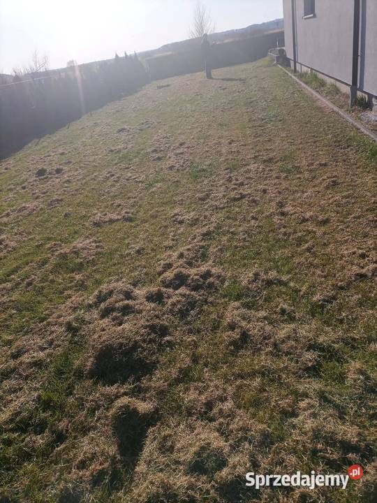 Wertykulacja trawników Pozostałe Lębork