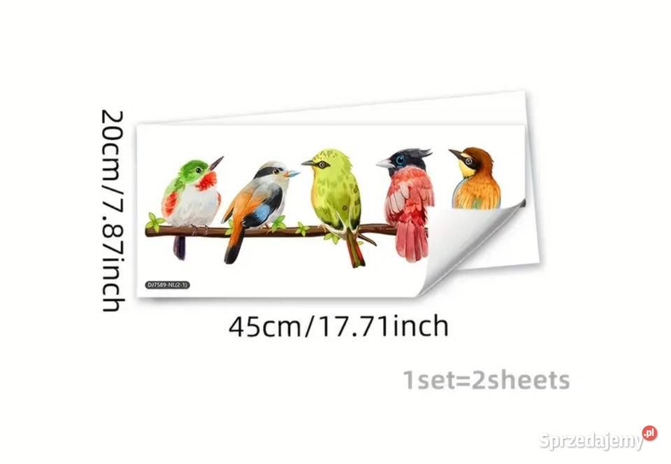Naklejka na szybę folia z ptakami mazowieckie Ząbki