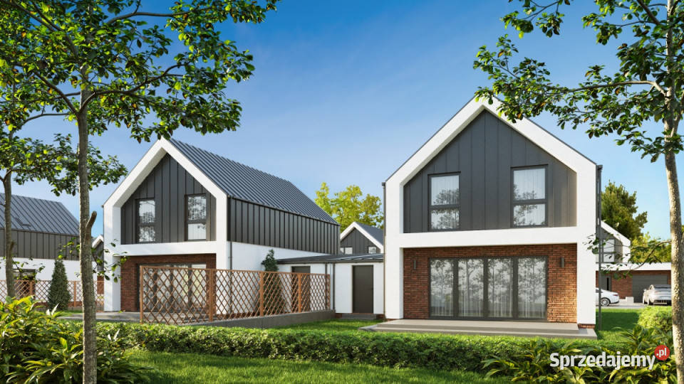 Domy na skraju Puszczy Kampinoskiej Stare Grochale