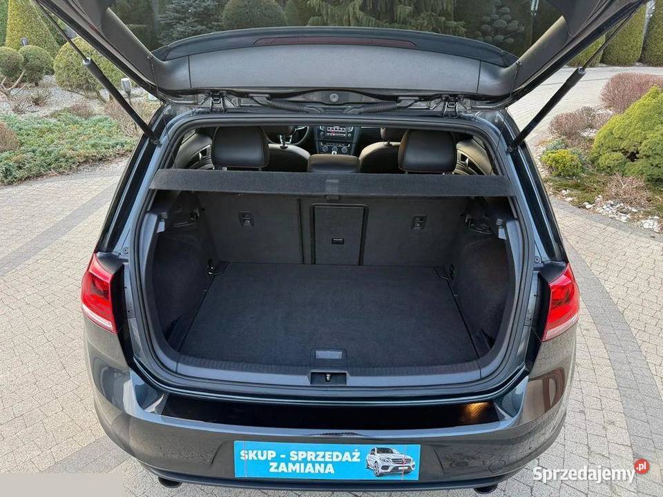 Volkswagen Golf GTI BlueMotion Technology DSG Golf wielkopolskie Krotoszyn