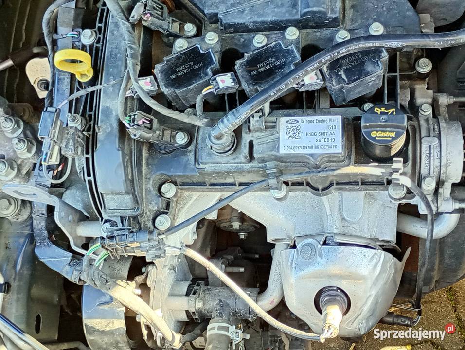 Ford Fiesta benzynowy 11 DURATEC 2019 49456 4 1084cm3 Wrocław