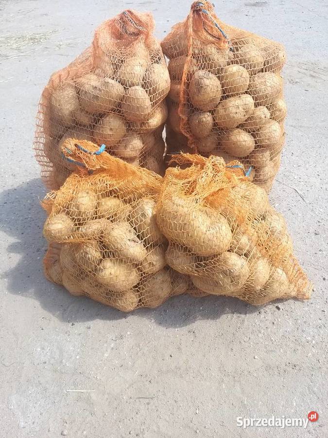 Ziemniaki jadalne paszowe Pozostałe Wielichowo