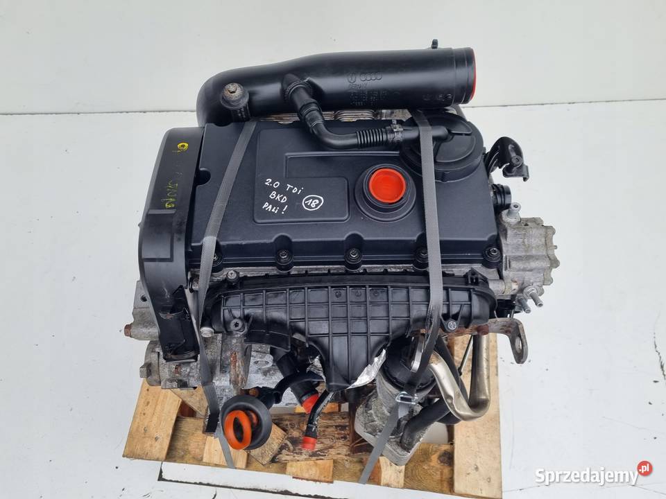 SILNIK KOMPLET VW Golf V 20 TDI 140 ładnie Chełm