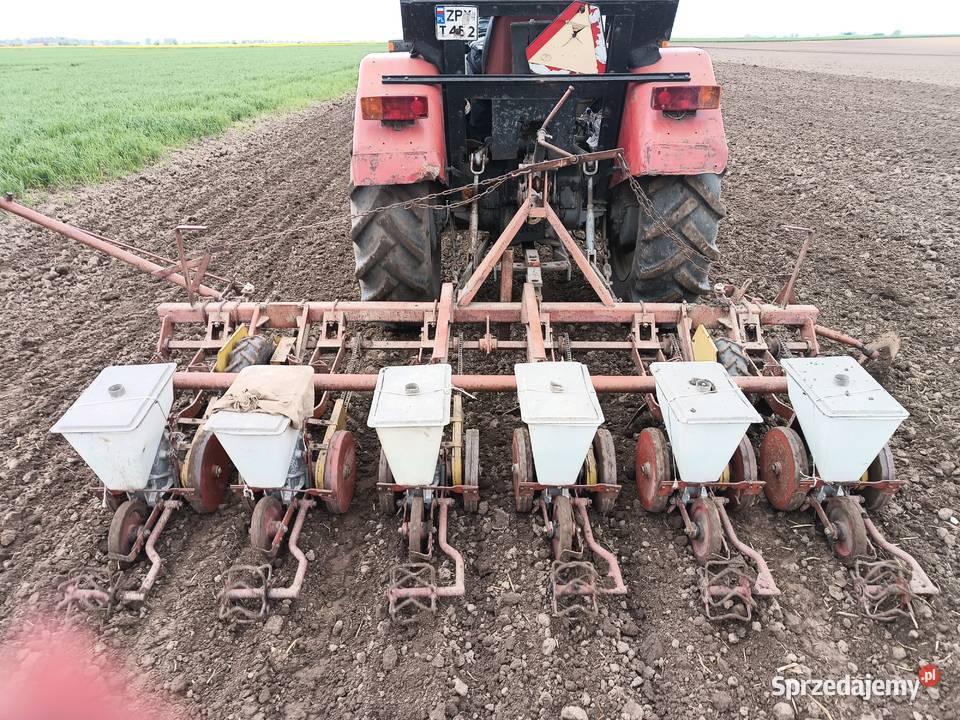 Siewnik do burakow Barnim sprzedam