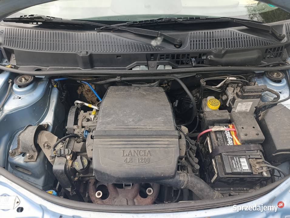 Lancia Ypsilon 12 60 Małe Miejskie AutoNie 1200cm3 Ypsilon Bujaków