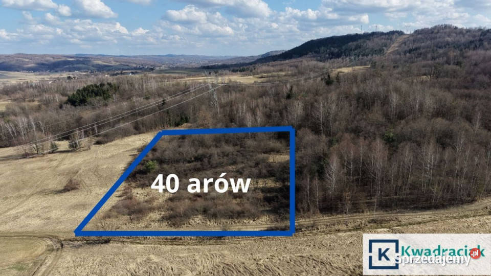 Działka Lutcza 4000m2 Nieruchomości