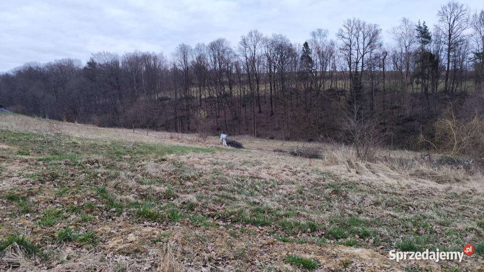Błędowa Tyczyńska działka 25 AR z WZ uzbrojona
