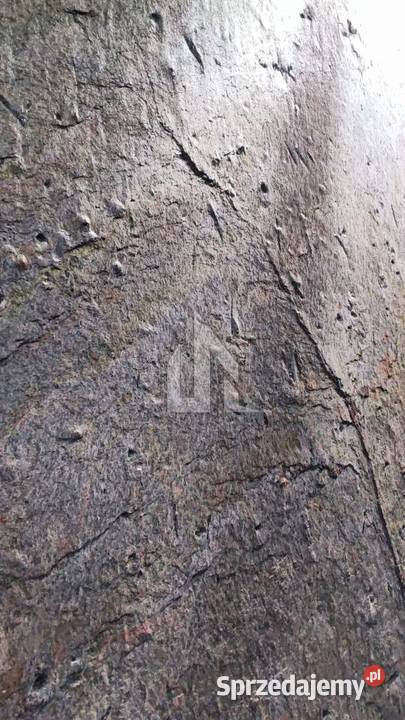 Fornir kamienny Golden złoto i elegancja w Wrocław