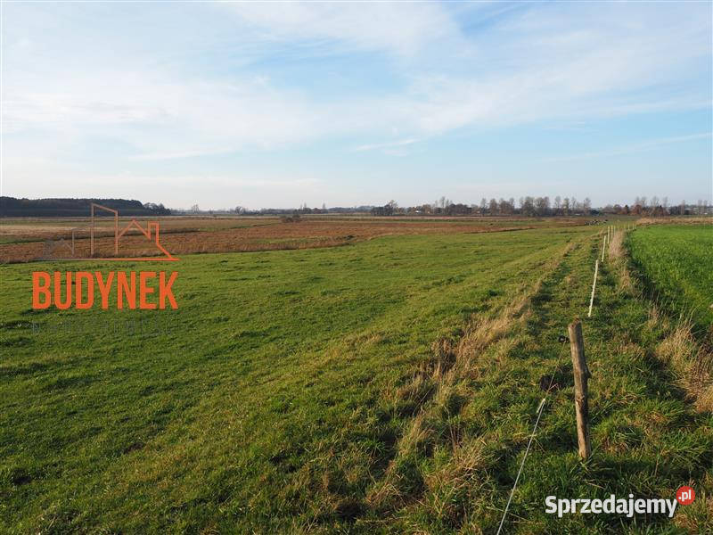 Działka rolna Krupy