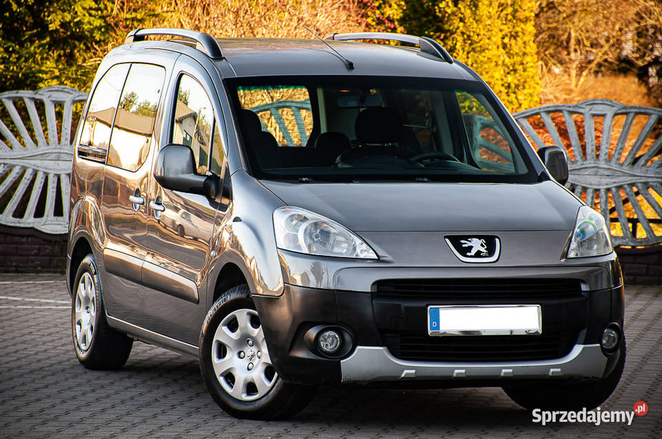 Peugeot partner 16hdi 221 servis