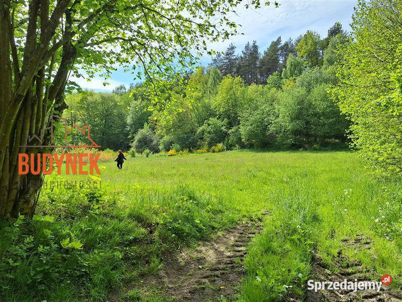 Działka rolna Paproty 3927m2