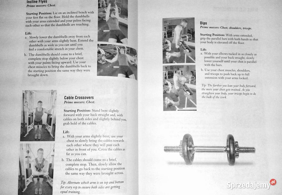 The Ultimate Guide to Weight Training for Boxing lubelskie Chełm