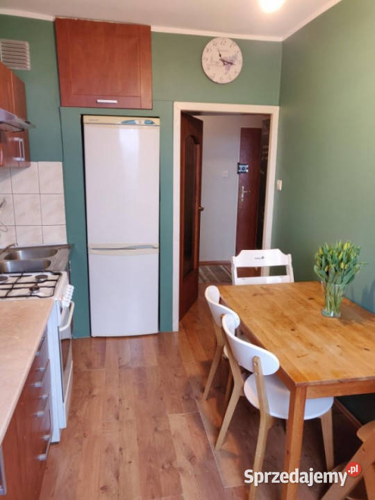 Mieszaknie z widokiem na Park Śląski Katowice