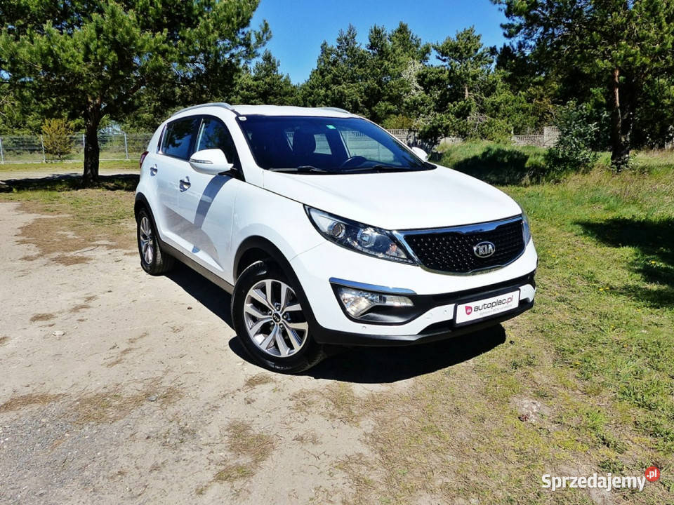 Kia Sportage 17 Piła