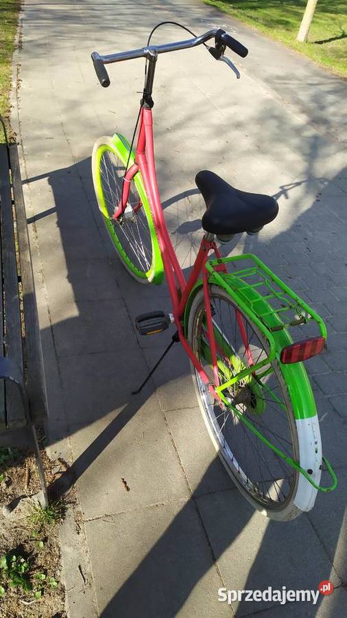 Fajna oldschoolowa damka holenderska PERFORMANCE Kraków