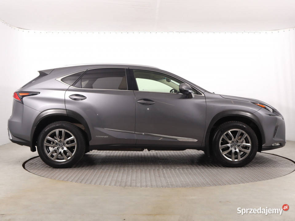 Lexus NX 300h światła przeciwmgielne śląskie