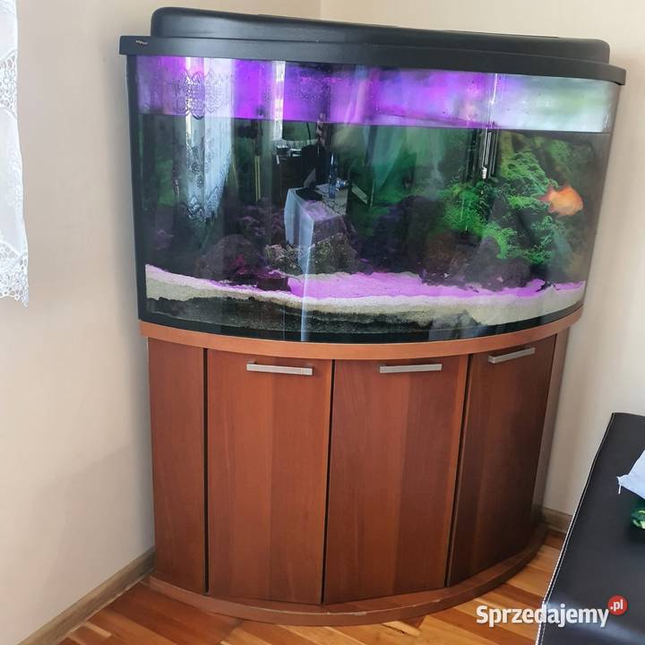 Akwarium narożne duże Częstochowa